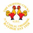 Fighting Cocks crest