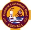 Youghal crest