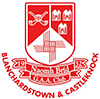 St. Brigids crest