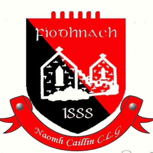 Fenagh St. Caillins crest
