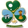 Gortletteragh crest