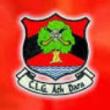 Adare crest