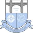 Newtown Blues crest