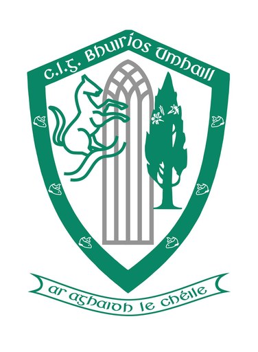 Burrishoole crest