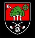 Truagh Gaels crest
