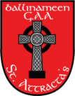 Ballinameen crest
