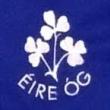 Eire Óg Annacarty crest