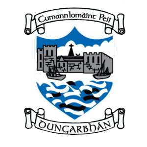 Dungarvan crest