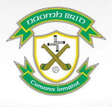 St. Brigids crest
